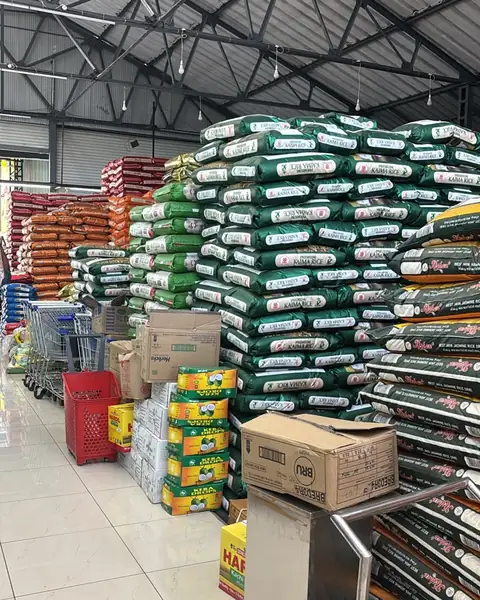 The shop floor, with green rice sacks stacked to the roof beside the aisles